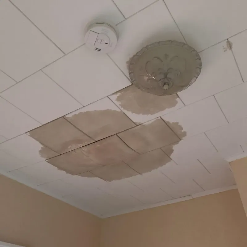 Ceiling Water Damage Repair in Hiram, ME