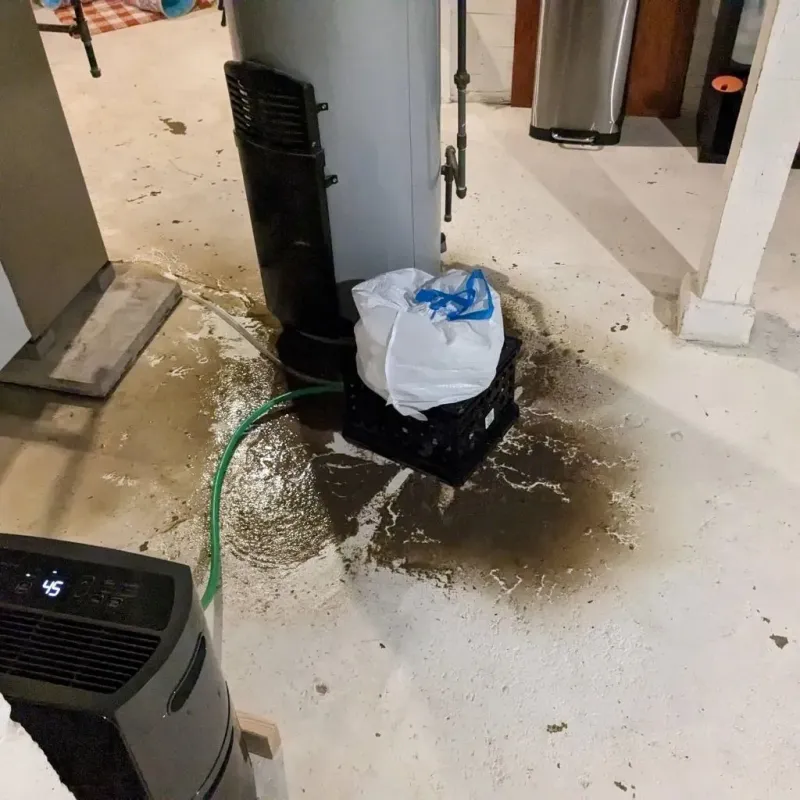 Sewage Backup Cleanup Service in Hiram, ME